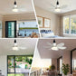 ✨Nur solange der Vorrat reicht: 56 % Rabatt!🍃 Intelligenter Deckenventilator mit Licht, RGB-Beleuchtung und Bluetooth-Lautsprecher♨️❄️