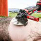 🐖🔥 50% RABATT 💥 Arbeitssparende Schaberscheibe zur Entfernung von Schweinehaaren – schnell, effizient & kraftsparend ⚙️