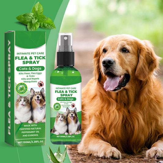 🍃Natürliches Floh- und Zeckenspray für Hunde und Katzen🐾 Schützen Sie Ihr geliebtes Haustier vor Schädlingen