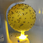 ⏰🎁Klebrige Fruchtfliegenfalle mit Ständer und LED
