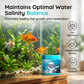 Hocheffiziente Aquarienwasserreinigungstabletten