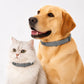 Verstellbare Floh- und Zeckenhalsbänder für Hunde und Katzen