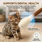 🔥 HEUTE 50 % RABATT! 🐱 Interactive Swab Cat Toy with Catnip